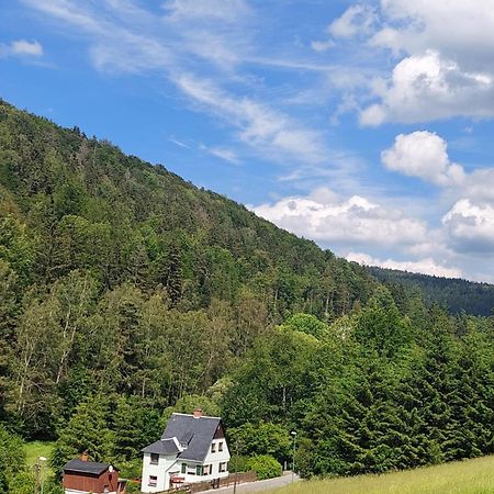 Ferienhaus Rosemarie Erlbach Vogtland Kültér fotó