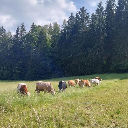 Ferienhaus Rosemarie Erlbach Vogtland Kültér fotó
