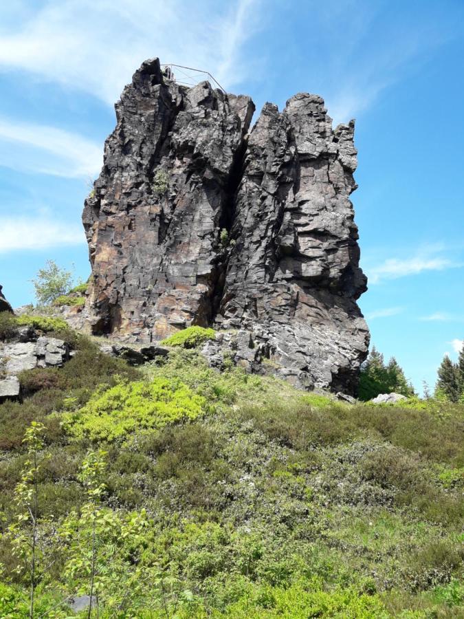 Ferienhaus Rosemarie Erlbach Vogtland Kültér fotó