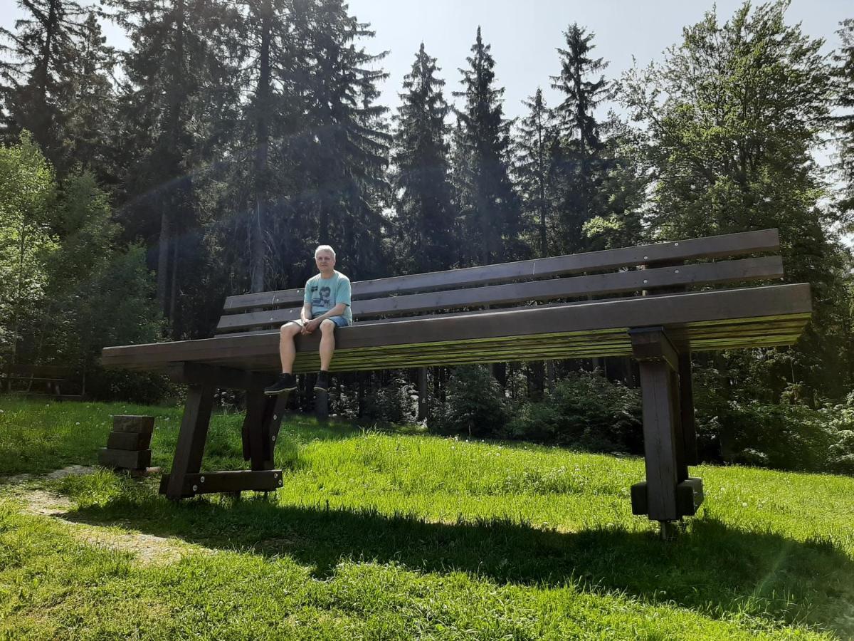 Ferienhaus Rosemarie Erlbach Vogtland Kültér fotó