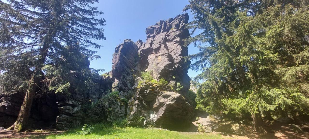 Ferienhaus Rosemarie Erlbach Vogtland Kültér fotó